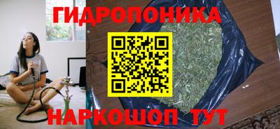 прущие грибы Краснознаменск